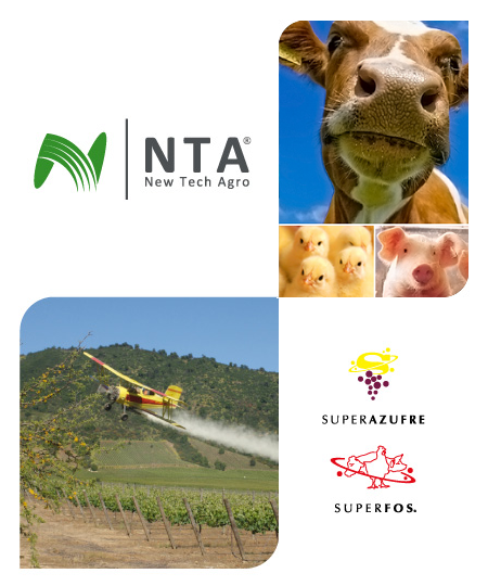 nta